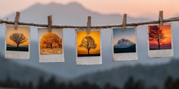 vier bilder ein wort 6 buchstaben lösungen