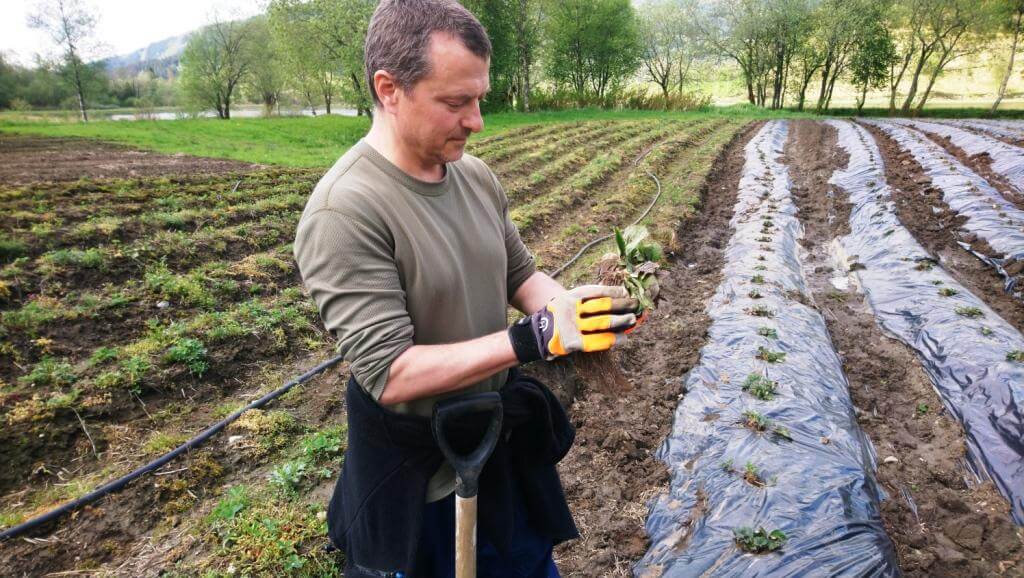 mfl mischfutter und landhandel gmbh