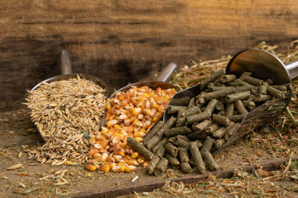 mfl mischfutter und landhandel gmbh